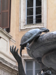 SX31039 Turtle on Fontane delle Tartarughe (The Turtle Fountain).jpg